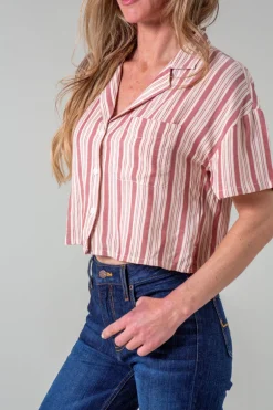 Ferris Top