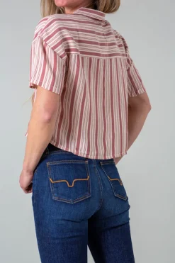 Ferris Top