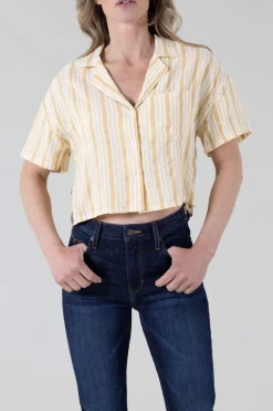 Ferris Top
