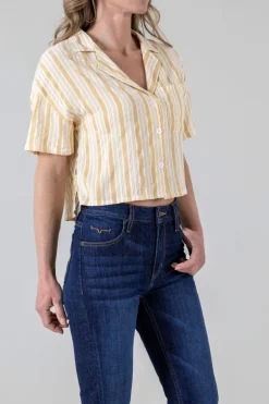 Ferris Top