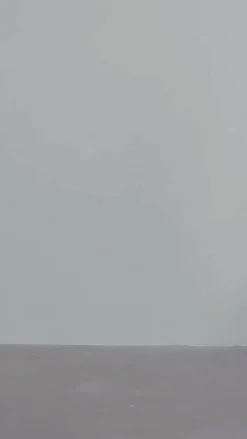 Monica Cropped